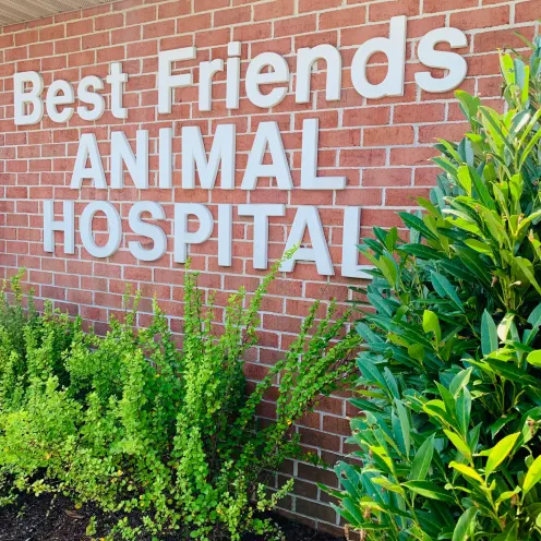 Best Friends Animal Hospital Signage